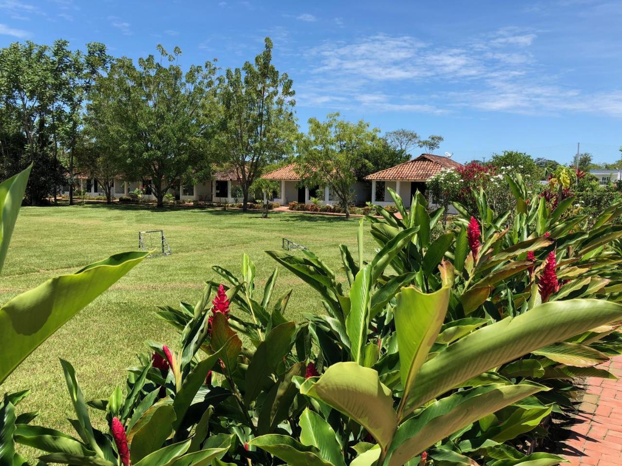 Hotel Campestre Arboretto Вильявисенсио Экстерьер фото