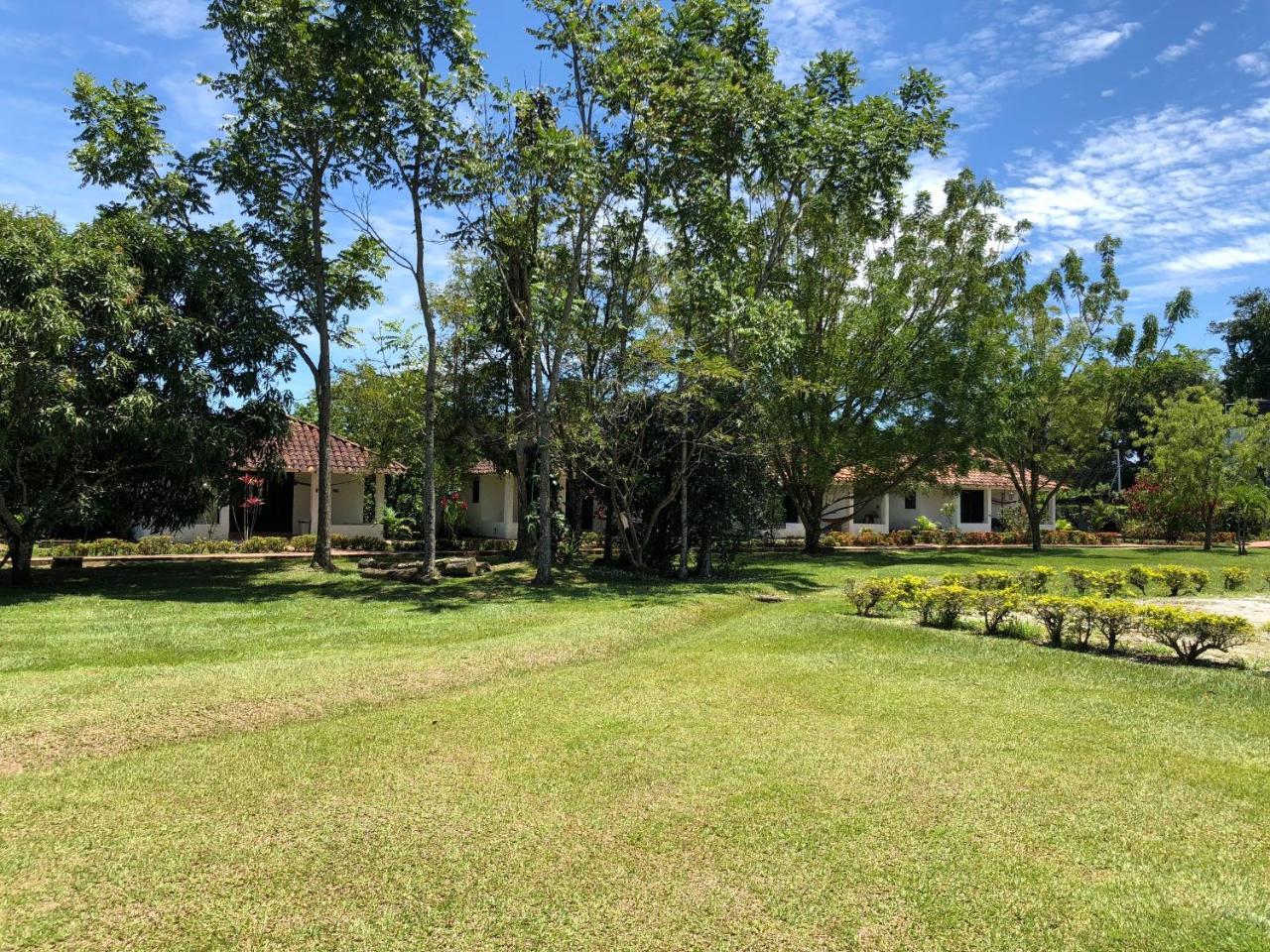Hotel Campestre Arboretto Вильявисенсио Экстерьер фото